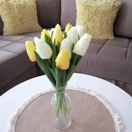 Apartment Paun Belgrade