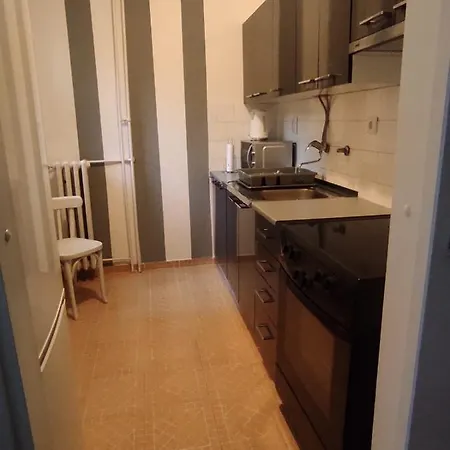 Paun Belgrade